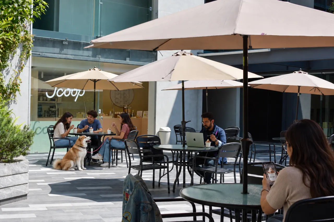 Terraza de Scoop en TOBA: amigos comiendo frozen yogurt bajo las sombrillas, con un perro junto a la mesa y el letrero al fondo